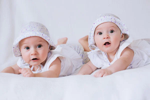 Funny twins sisters babies Stock Photo