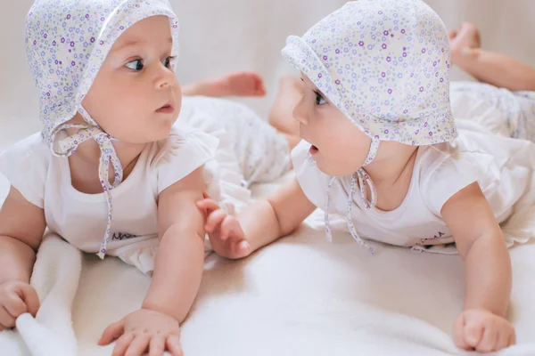 Funny twins sisters babies Stock Image