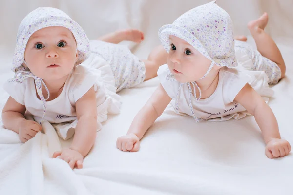 Funny twins sisters babies — Stock Photo, Image