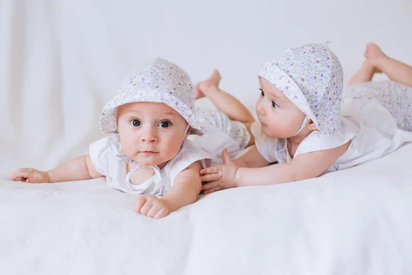 Funny twins sisters babies Royalty Free Stock Images