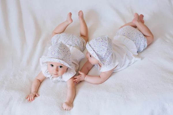 Funny twins sisters babies — Stock Photo, Image