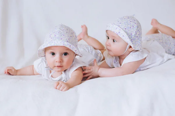 Младенцы-близнецы Стоковое Изображение