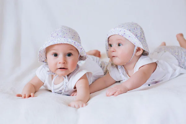 Funny twins sisters Royalty Free Stock Images