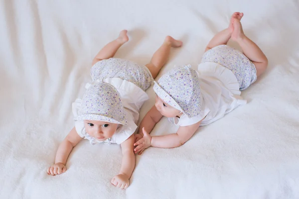 Funny twins sisters babies Stock Picture