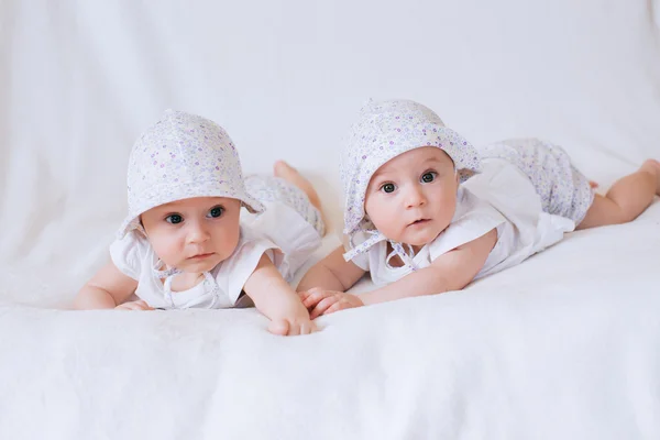 Funny twins sisters babies Stock Image