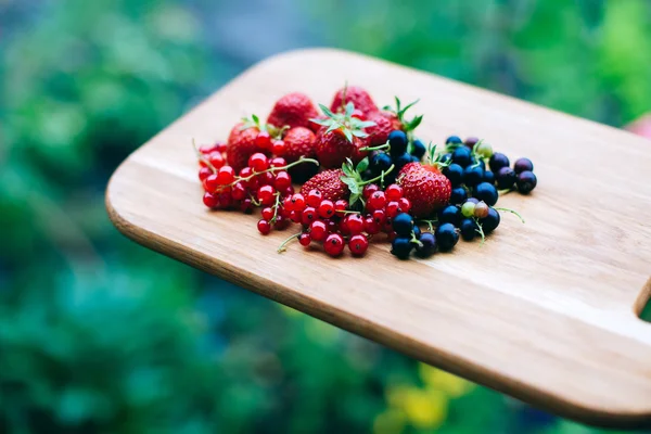 Садовые ягоды — стоковое фото