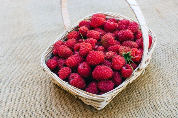 Red raspberries in wooden basket — Stock Photo, Image
