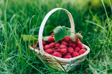 ahşap sepet içinde kırmızı ahududu