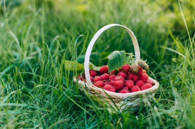 ahşap sepet içinde kırmızı ahududu