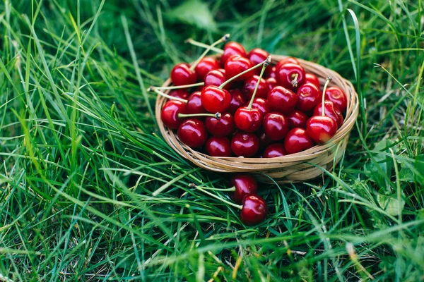 Красная вишня в деревянной корзине — стоковое фото