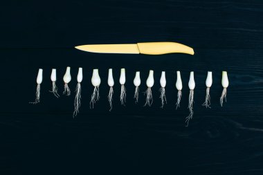 siyah arka plan üzerine izole genç soğan