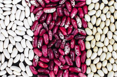 renkli fasulye yığını