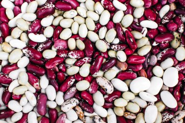 renkli fasulye yığını