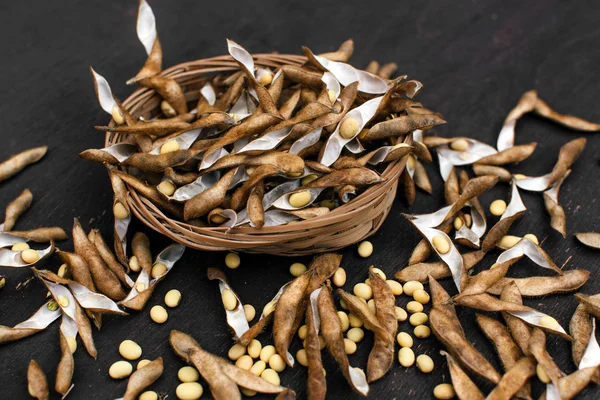 大豆ポッド、大豆の豆の収穫は、木製の背景に大豆を背景します。素朴なスタイル — ストック写真