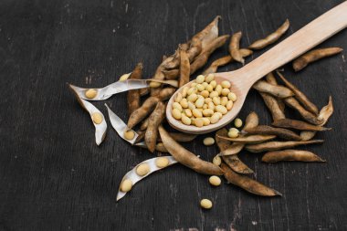 Soya fasulyesi pod, soya fasulye hasat soya fasulyesi ahşap bir arka plan üzerinde arka plan. rustik tarzı