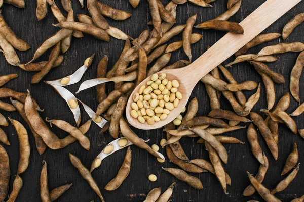 Soya fasulyesi pod, soya fasulye hasat soya fasulyesi ahşap bir arka plan üzerinde arka plan. rustik tarzı