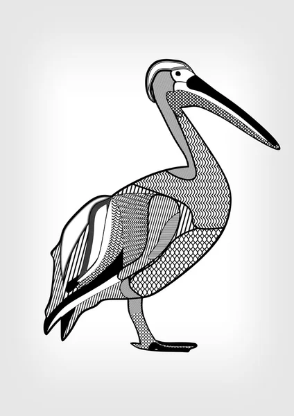 Pelican, black and white drawing of water bird with hatched and patterned body parts. Isolated animal on gray gradient background. Template for tattoo, emblem, zoo, club, — Stock Vector