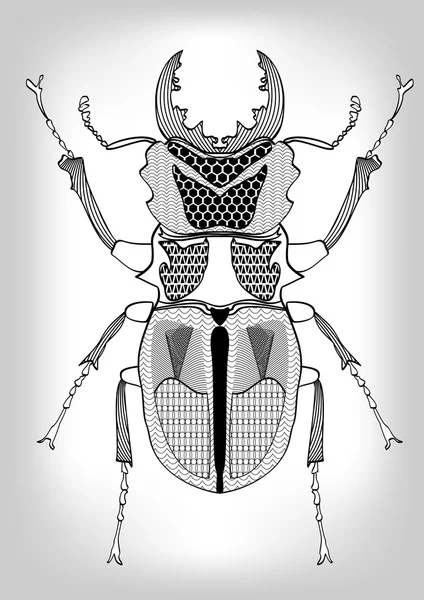 Stag-beetle, black and white drawing of beetle decorated with patterns.  Symmetric drawing, isolated insect on gray gradient background, useful as decoration, tattoo template, emblem — Stock Vector