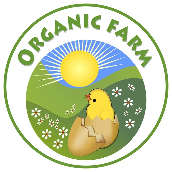 Organic farm signboard, cute yellow chick in in egg-shell on green meadow in circle shape, emblem for natural products from countryside ecologic poultry breeding farm — Stock Vector