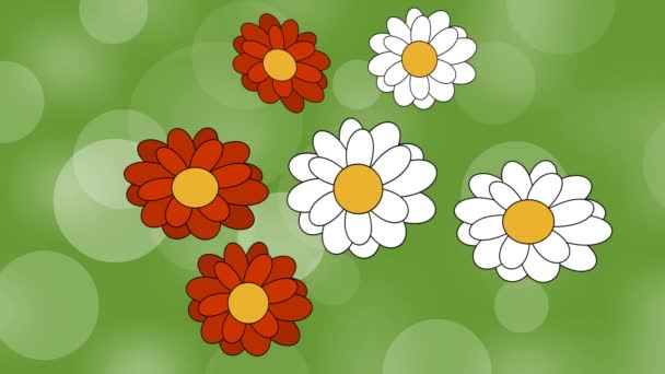 Animated flowers on green meadow. Green blurry bokeh background with white and red flowers. Illustration movie with spring or summer nature motif. — Stock Video