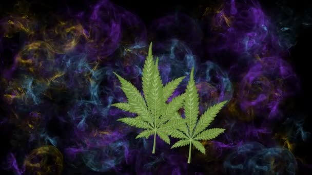 Tres hojas de cannabis flotando sobre un fondo negro lleno de humo multicolor. Alucinaciones de marihuana, advertencias contra el uso de narcóticos y drogas. — Vídeos de Stock