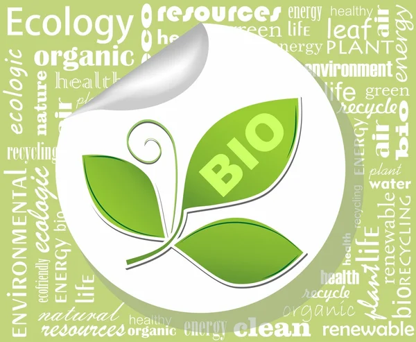 Plakatwand für Bioprodukt mit Blatt — Stockvektor