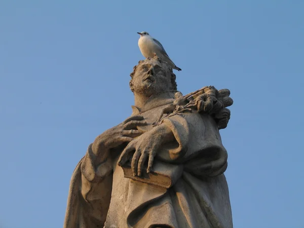 Γλάρος αναπαύεται πάνω στο κεφάλι του μπαρόκ αγάλματα των Αγίων, Charles τούβλο — Φωτογραφία Αρχείου
