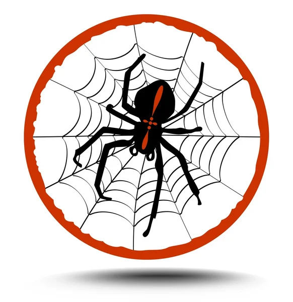 Crusader spindel på sin web i röd cirkel sammansättning — Stock vektor