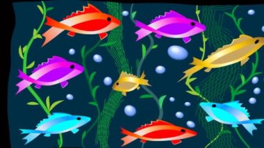 Akvaryum, hareketli resimde yüzen neon balık sürüsü