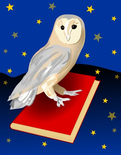 Lindo búho granero, símbolo de sabiduría, sentado en un libro rojo. Fondo de paisaje nocturno con cielo lleno de estrellas. Hermoso emblema para una escuela o para el portal web educativo — Archivo Imágenes Vectoriales