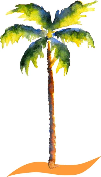 Akvarell palm tree — Stock vektor