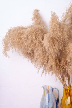 Beyaz duvara yakın cam vazoda sazlıklar, bohem ev dekorasyonu.