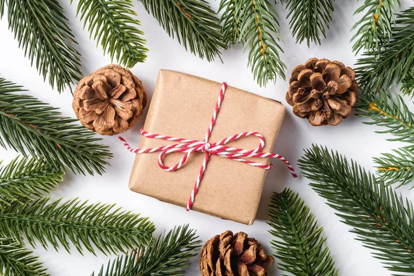 Karácsonyi Ünnepek Nulla Hulladék Papír Ajándékdoboz Csomagolás Címkével Fenyőtoboz Fenyő — Stock Fotó