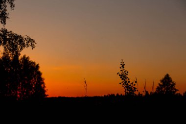 Gün batımı gökyüzü ağaçların silueti ve ufukta çimenler. Akşam gökyüzünde kırsal alanda ılık turuncu bir eğim var..