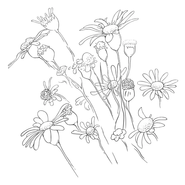 Flores fondo lineal floral — Vector de stock
