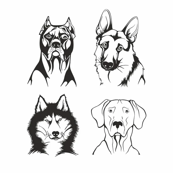 Imagen perros — Vector de stock