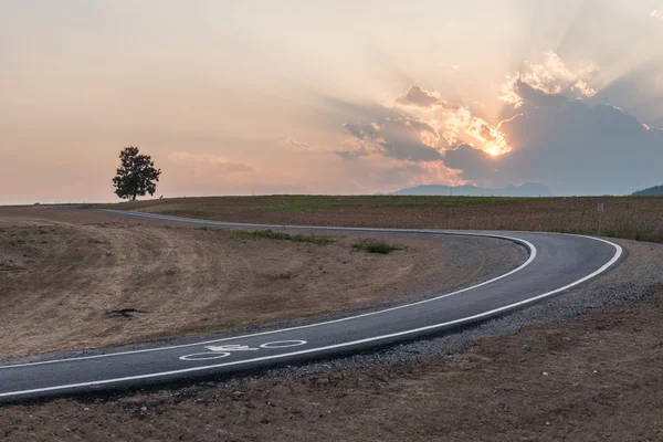 Велосипедна доріжка в парку — стокове фото