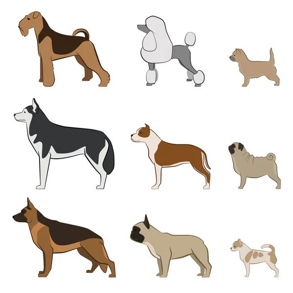 Conjunto de razas de perros — Vector de stock