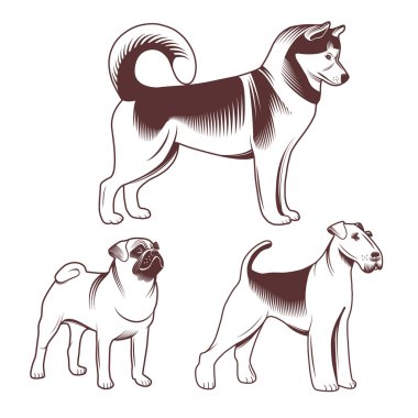 doğurmak-in köpek seti