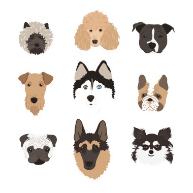 doğurmak-in köpek seti