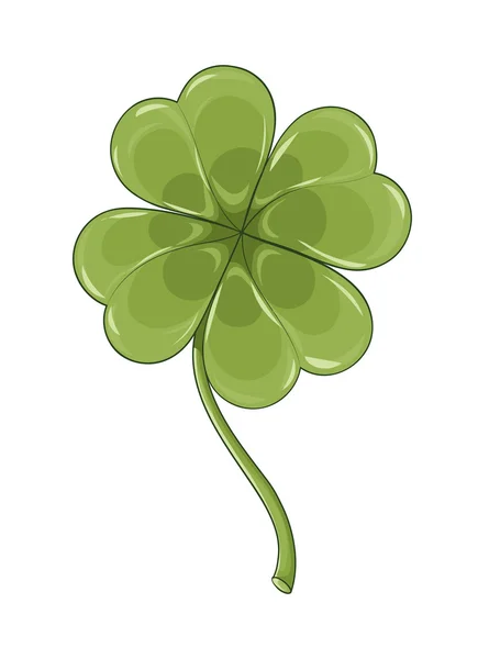 Clover leaf on white — Stock Vector