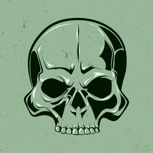 Human skull on green — Stock Vector