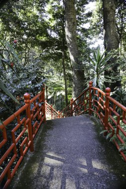 yeşil park köprü