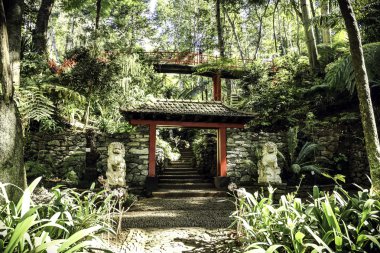 Asya kırmızı kemer Park