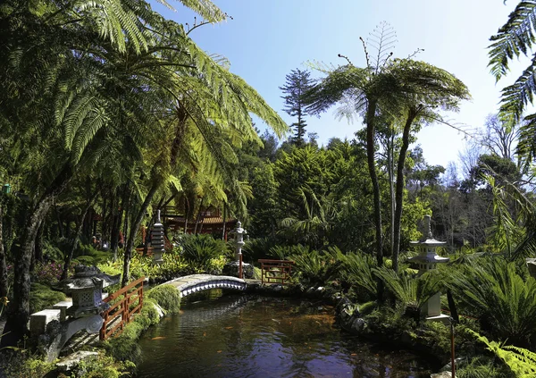 Pont dans un parc vert — Photo