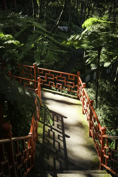 Puente en parque verde — Foto de Stock