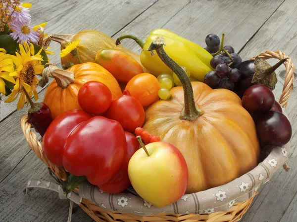 El otoño - la temporada de la cosecha rica — Foto de Stock