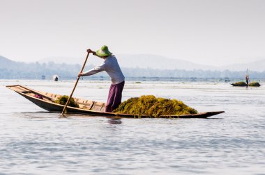 Inle Gölü üzerindeki Birman çiftçi