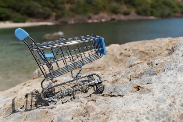 Çin 'de online alışveriş, 11.11 single' ın günlük satış konsepti. 11.11 bekarlar günü için alışveriş arabası..