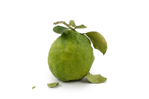 Citrus Medica Nagy Citrom Zöld Levél Izolátum Fehér Alapon — Stock Fotó